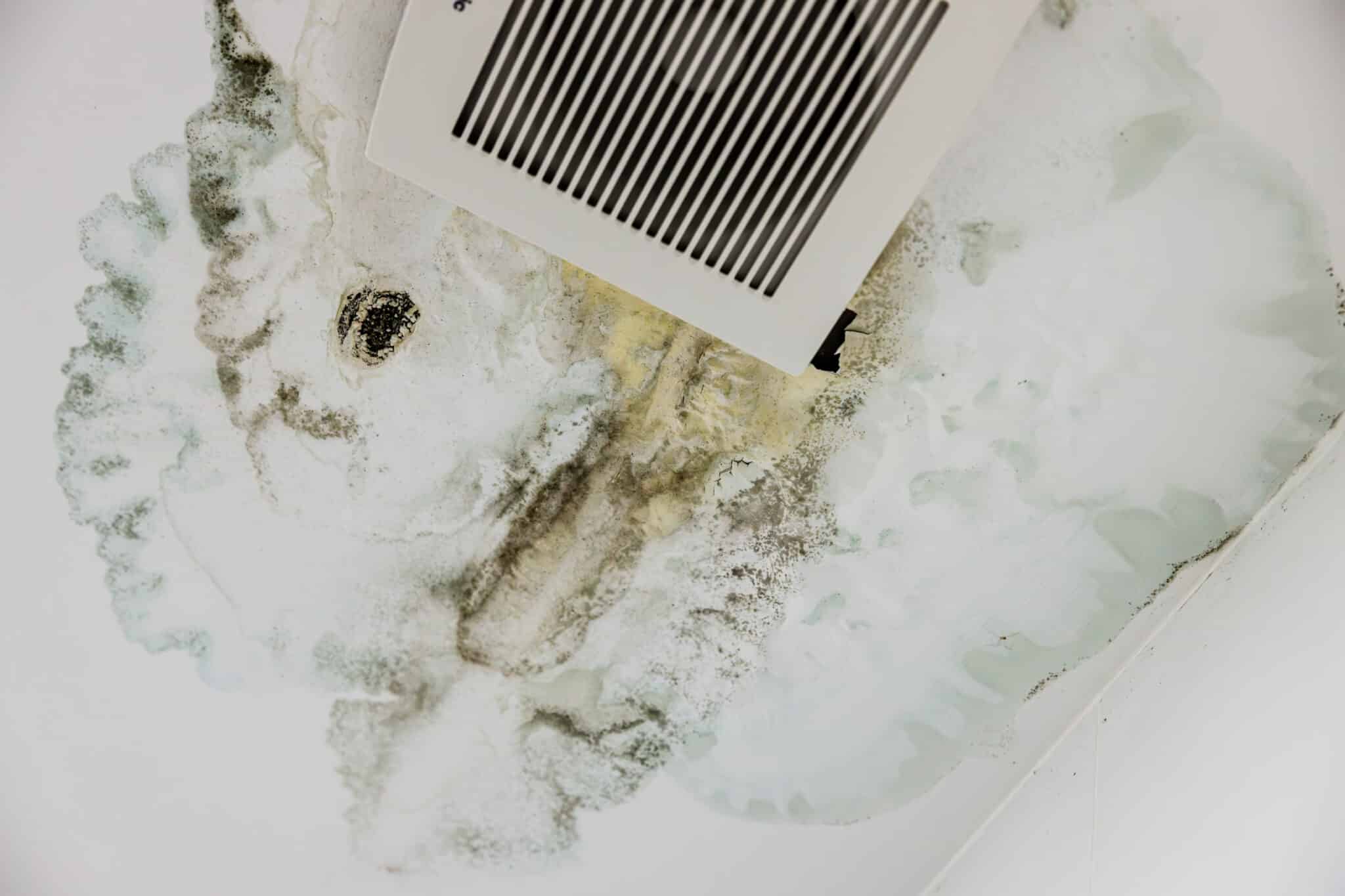 Winter Mold Prevention Tips.