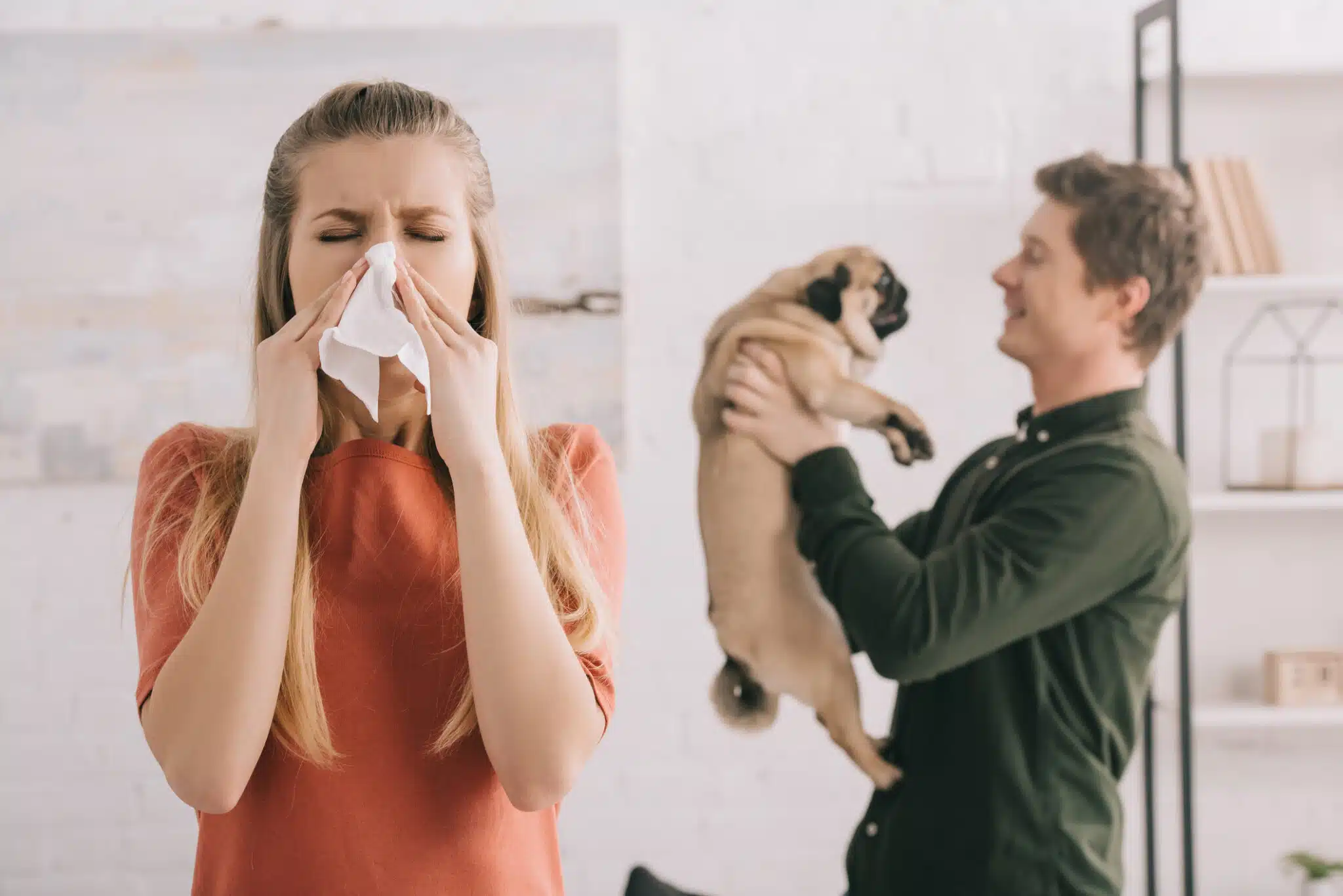 The Role of HVAC in Allergy Reduction.
