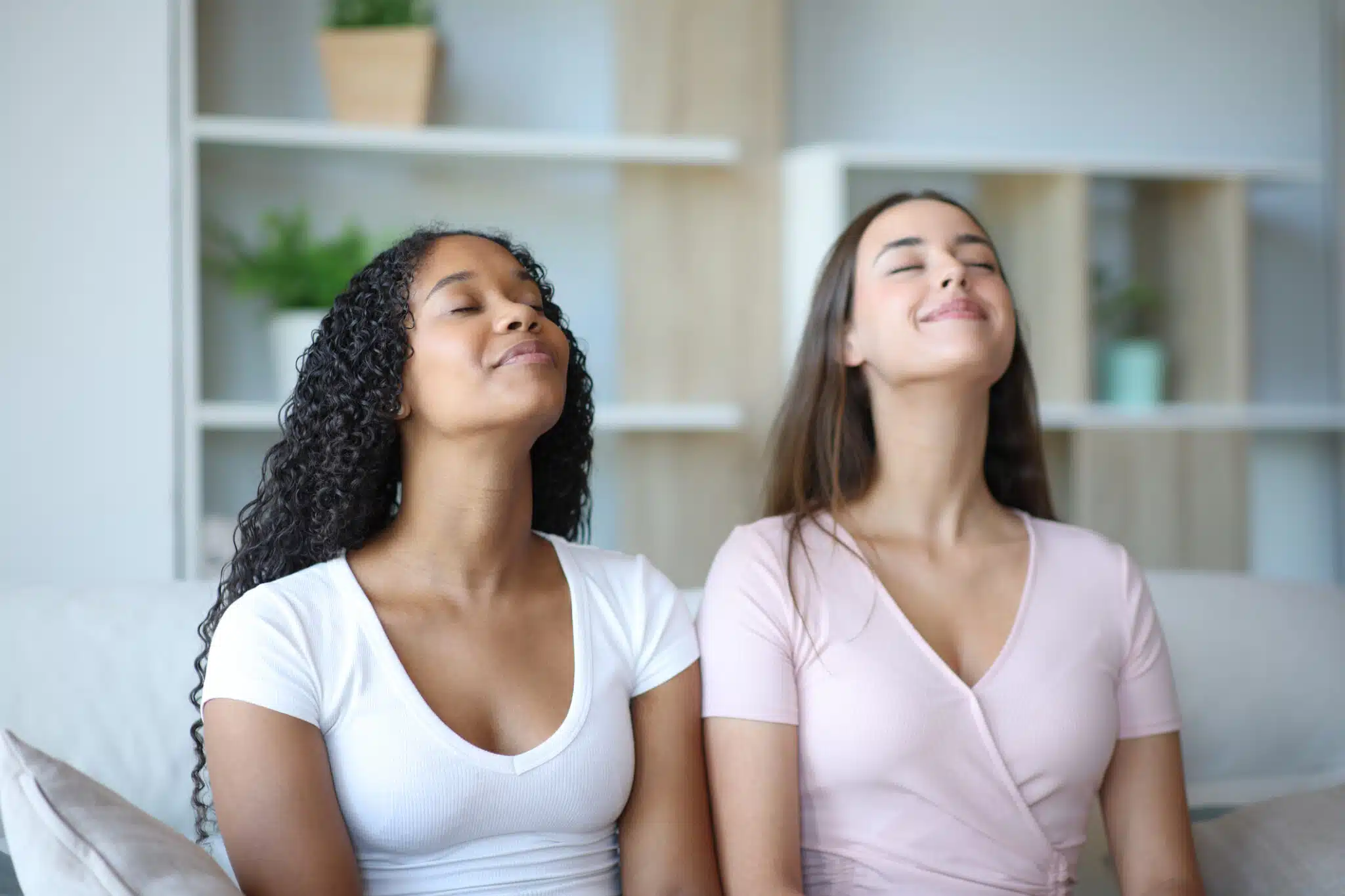 Breathing fresh air at home, Whole Home Humidifiers.